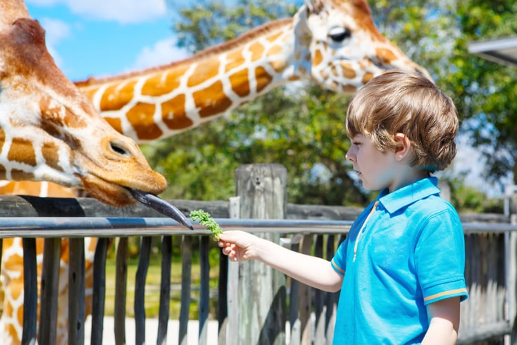 Activities for toddlers in Orlando