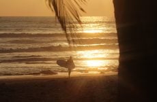 Best resorts in Bali - person carrying a surfboard to the sea at sunset