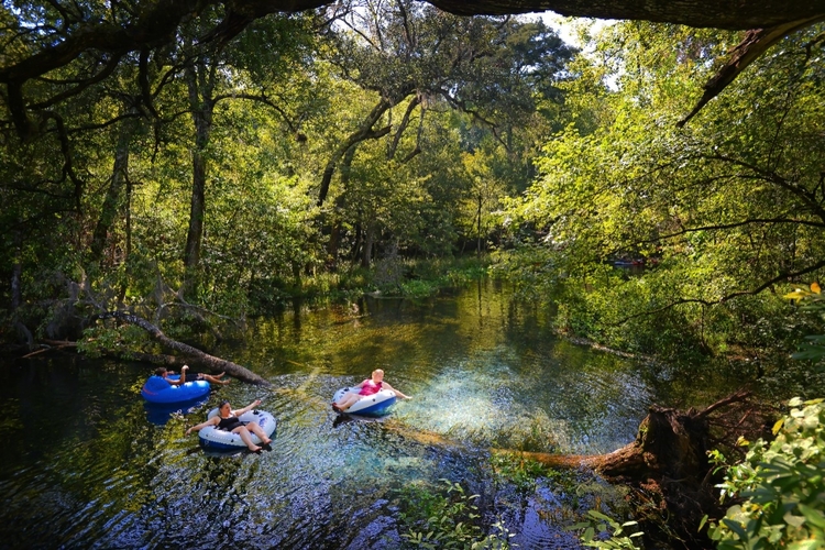 Florida has endless free and cheap things to do 
