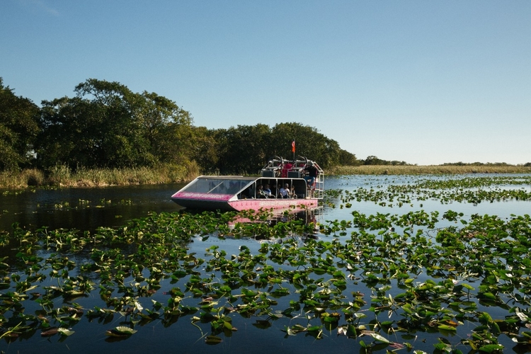 Free things to do in Florida for kids 