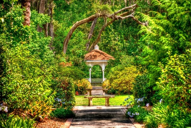 Harry P Leu Gardens in an orlando neighborhood