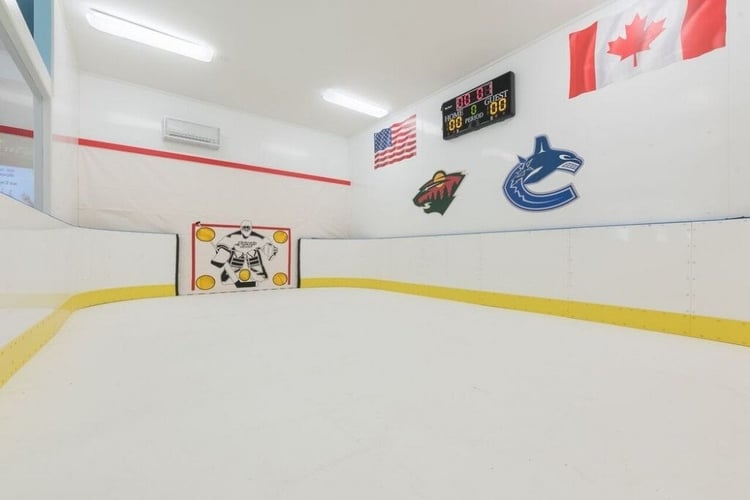 This luxury home features a private ice rink with ice hockey goals