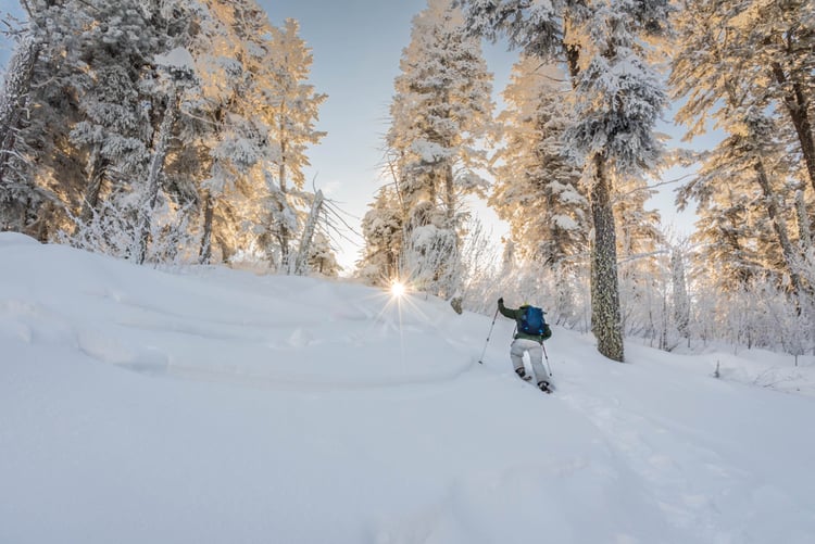 Snowshoeing USA, Boise nr Idaho