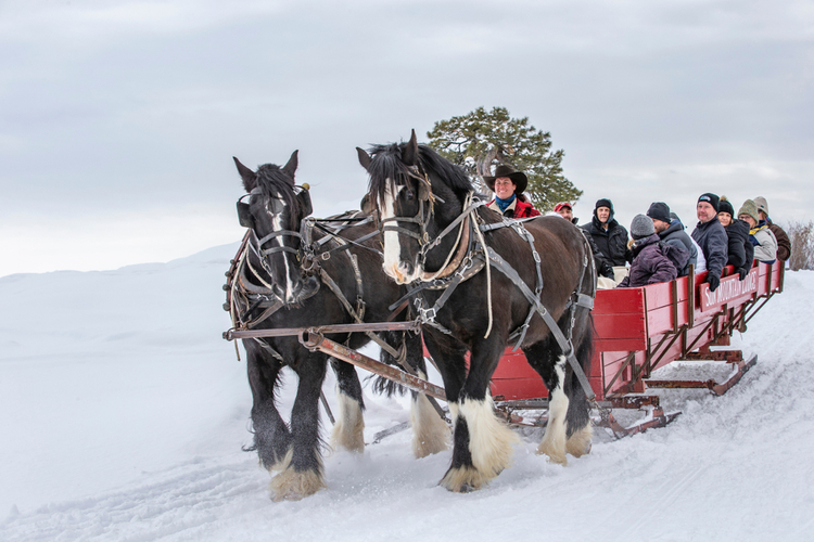 Sleigh rides are popular things to do in Park City