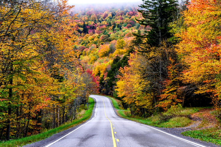 Fall color lines a road in Virginia