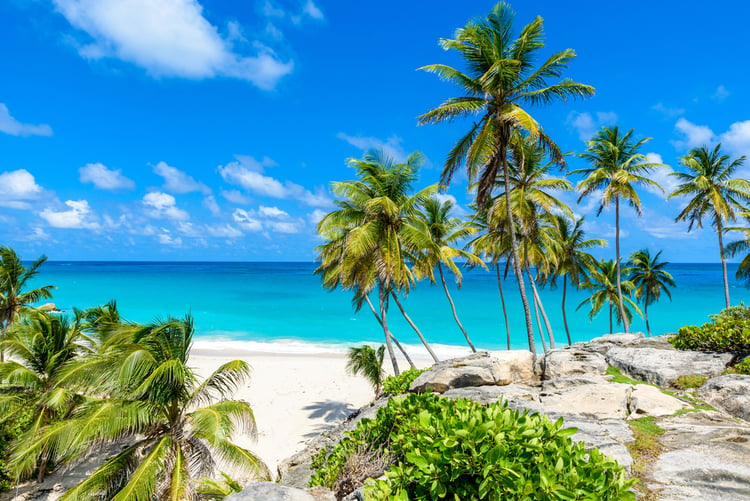 White sandy beach in Barbados