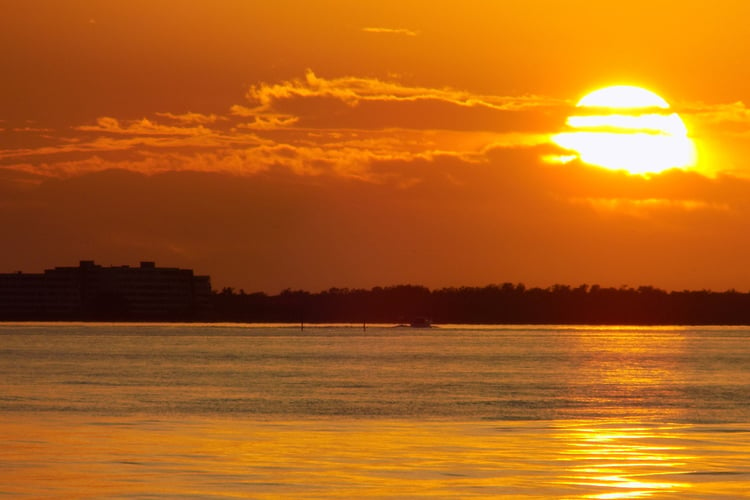 Sunset Celebration Cape Coral