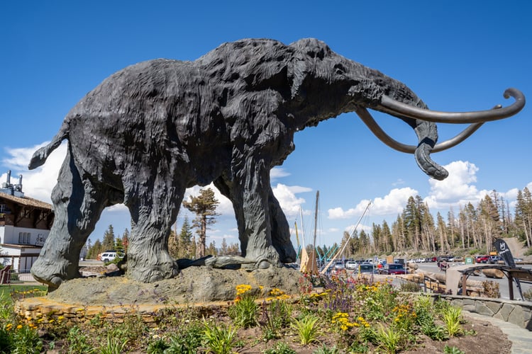 At the Mani Lodge, a great woolly Mammoth greets you as you begin your day on the Mammoth ski slopes