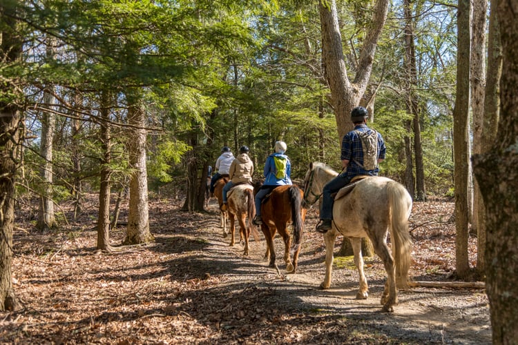 Horseback riding is one of the most fun things to do in Hot Springs Virginia