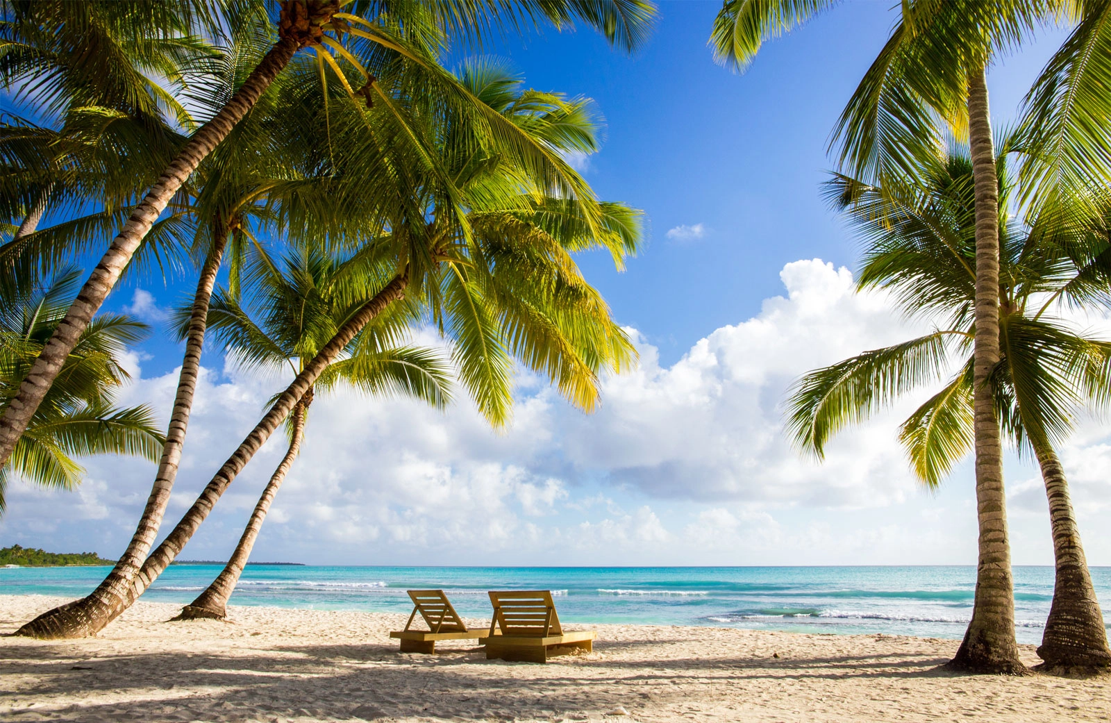 White sand beach framed by palm trees with two sun loungers facing the sea