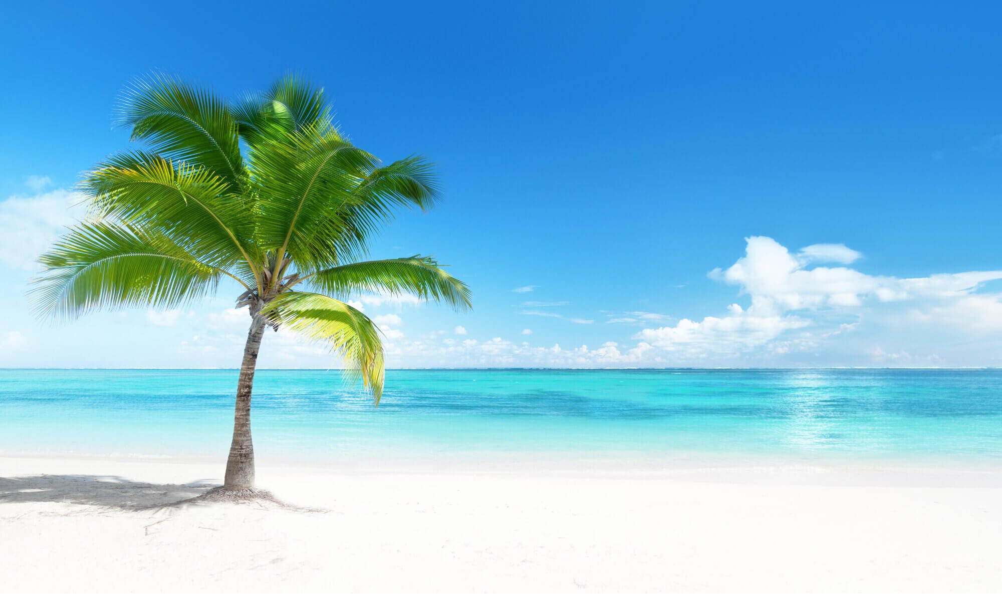 The top Caribbean beaches  Top Villas