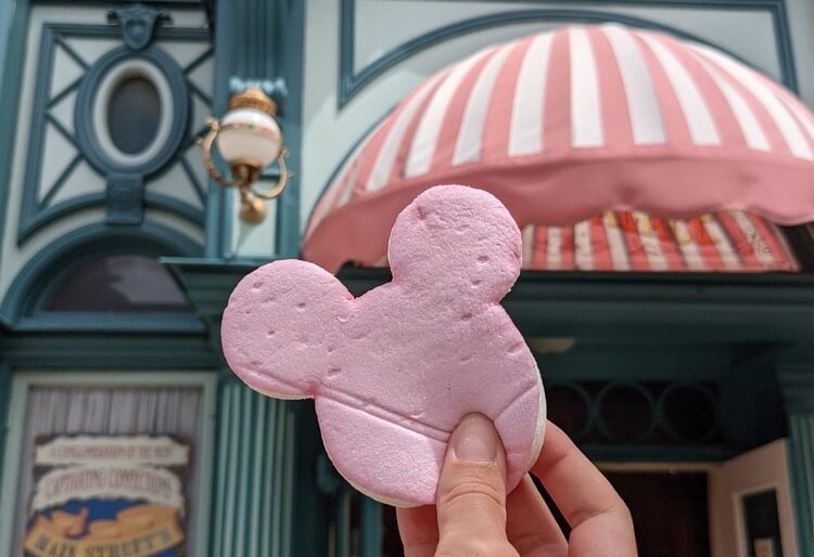 The Mickey-shaped Strawberry Marshmellow came 1st out of the gluten-free snacks at Disneyland Paris!