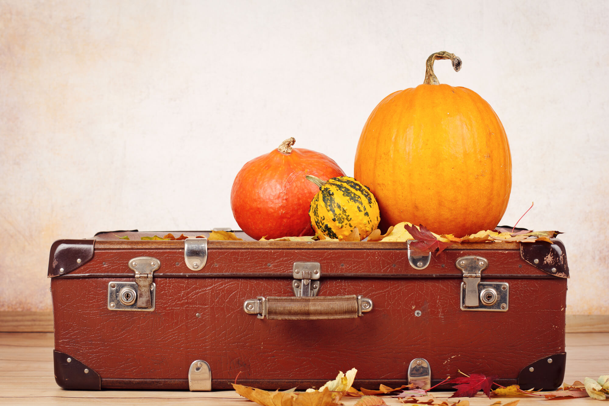 Pumpkins on a suitcase