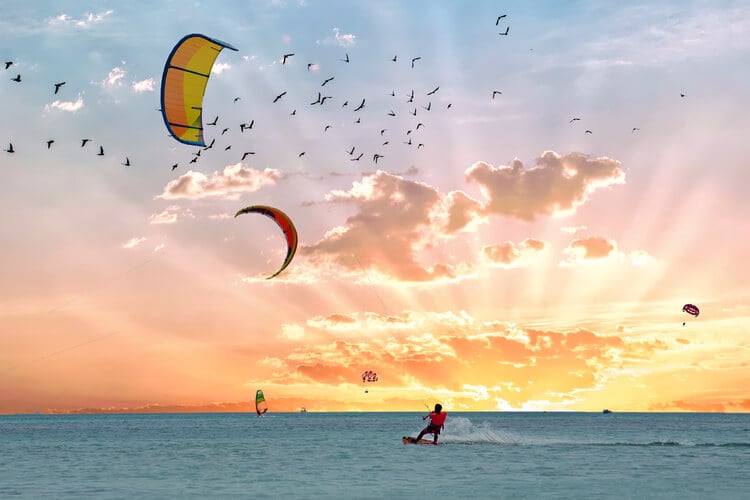 Windsurfers in Aruba