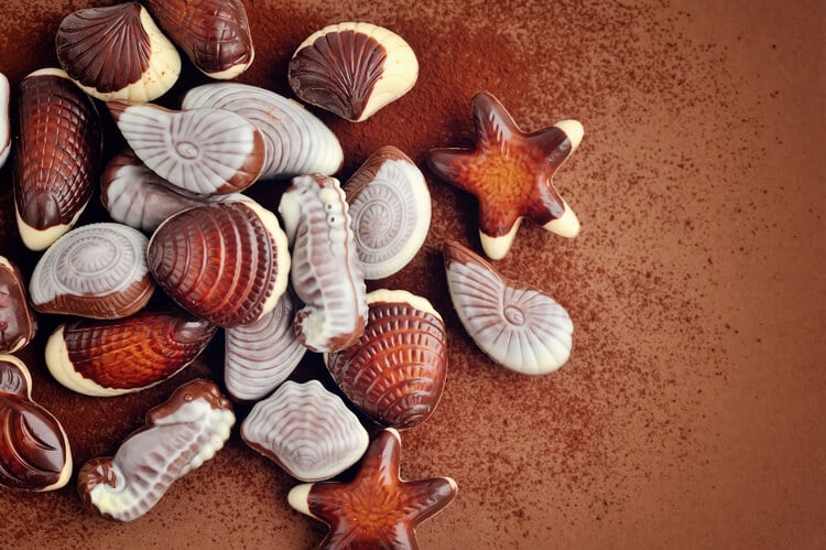 Belgian chocolate seashells