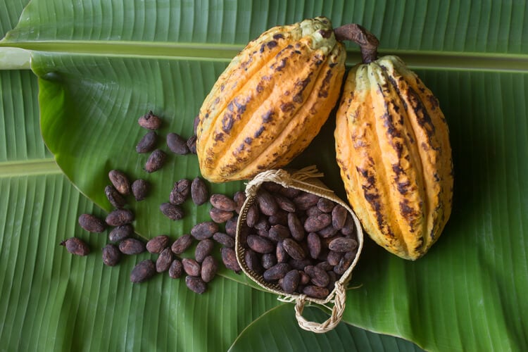 Cocoa beans and nibs