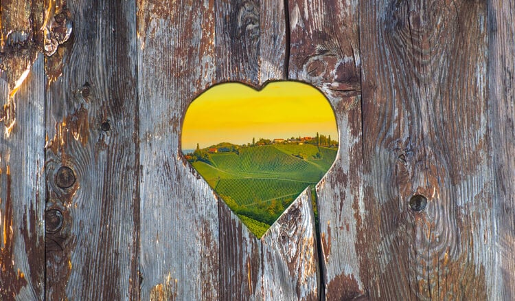 A heart shaped hole in a fence, looking over a view of Slovenian fields