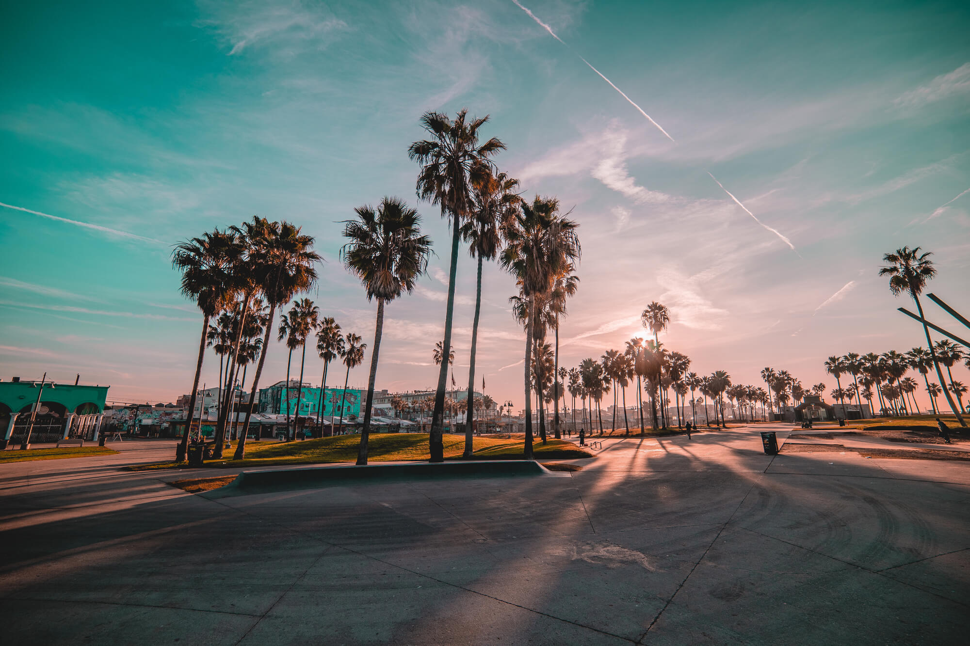 An iconic view of the palm trees at Venice beach in LA - home to one of the top 5 luxury vacation villas in California