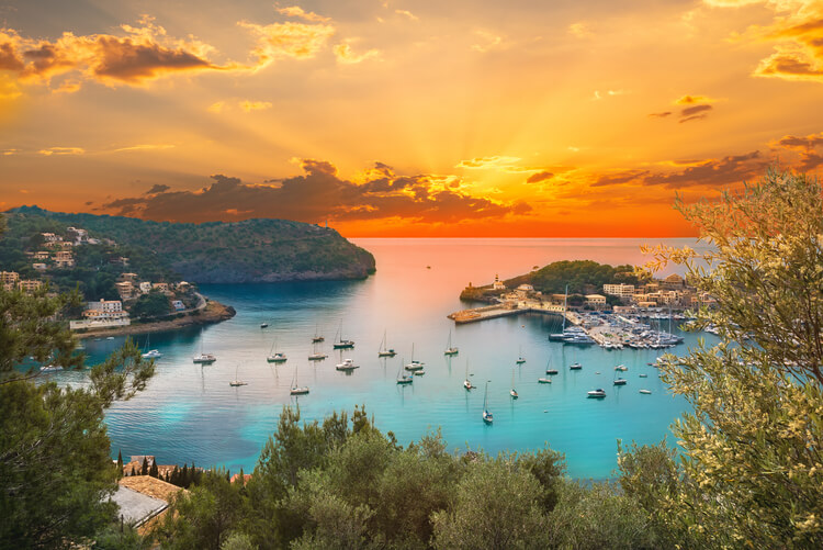 Palma harbor at sunset