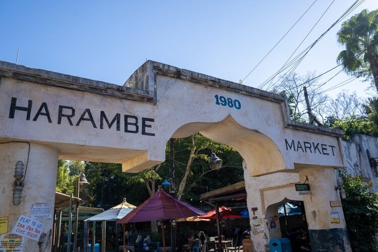 Harambe Market entrance arch at Disney World