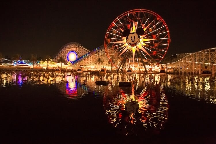 lit up ferris wheel at disney world in the dark