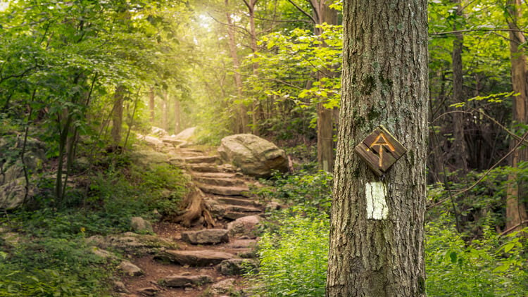 Appalachian Trail