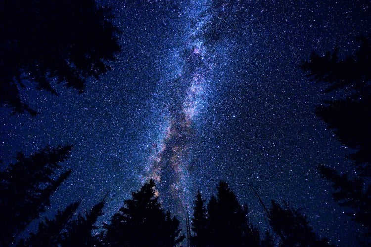 The Milky Way galaxy visible in a clear night sky above a forest