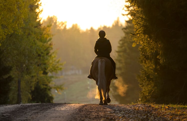 Horseback riding