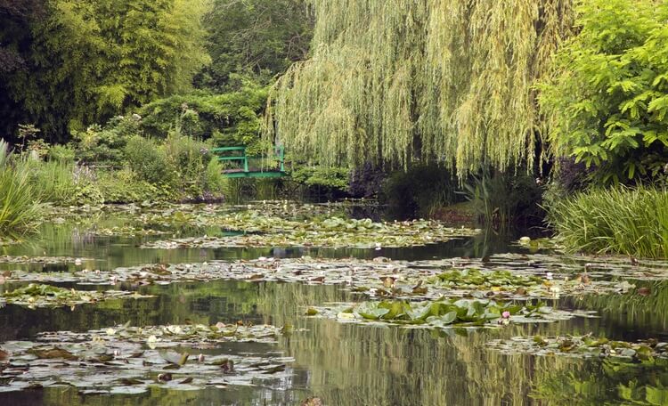 monet's bridge and lily pond, giverny