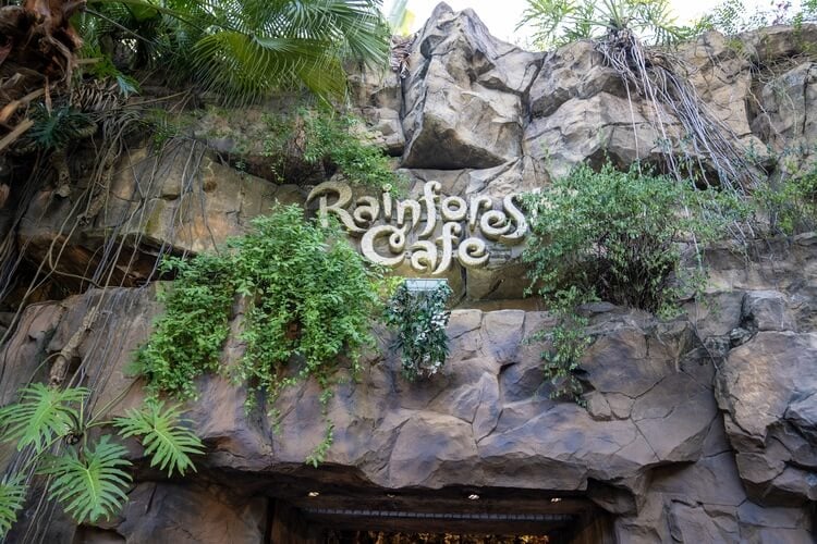 rainforest cafe disney world orlando