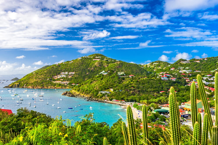 View from a hillside of a harbor in St Barts.