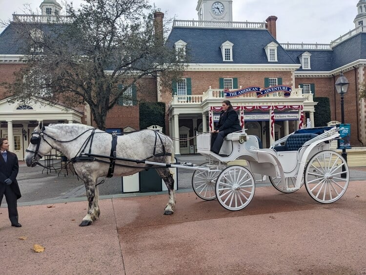a horse and carriage at disney