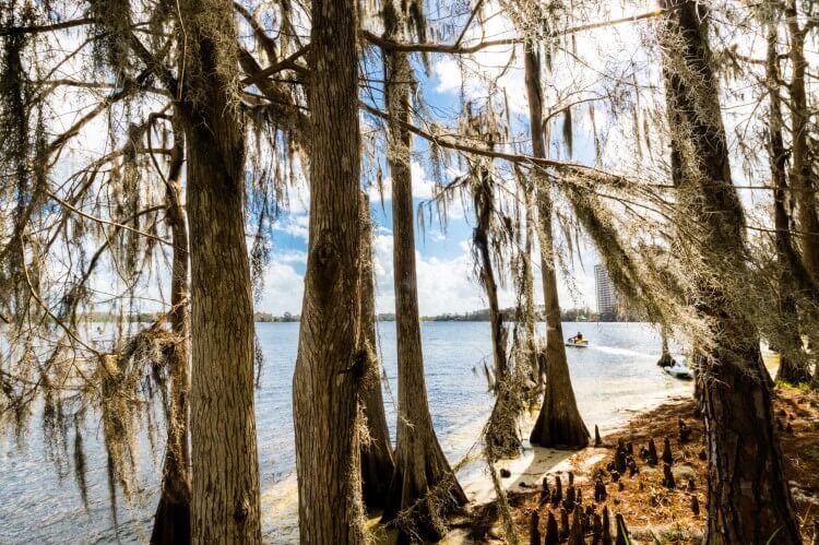 Jet skiing on an Orlando lake