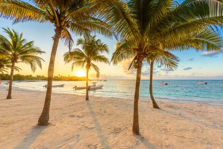 palm trees on cancun beach at sunset