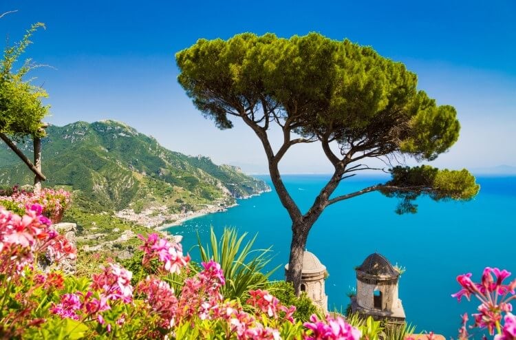 A tree in Positano on the Amalfi Coast with spring flowers blossoming around it