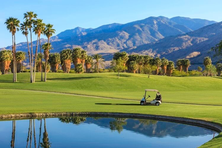 A golf buggy park on a Palm Springs golf course in front of moutains and palm trees