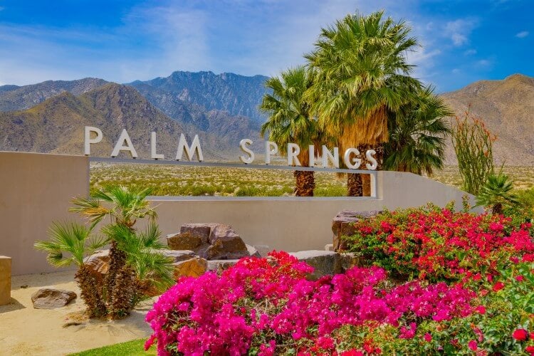 Entrance to Palm Springs sign with blooming flowers, palm trees, and mountains