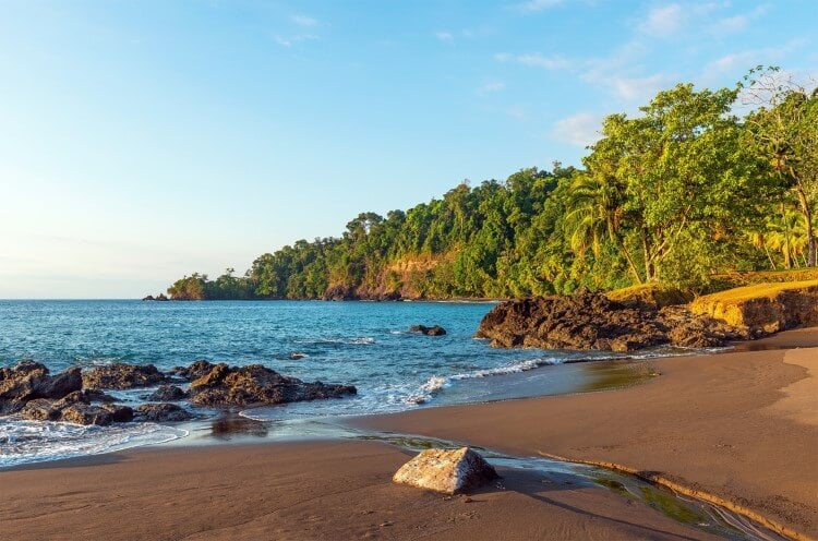 Forest-lined beach in Tamarindo, Costa Rica