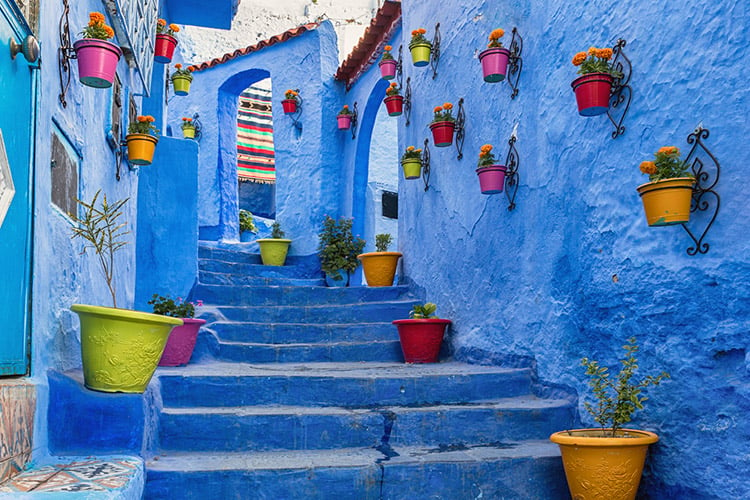 The blue city of Chefchaouen in Morocco, with blue-painted stairway and walls adorned with colorful plant pots