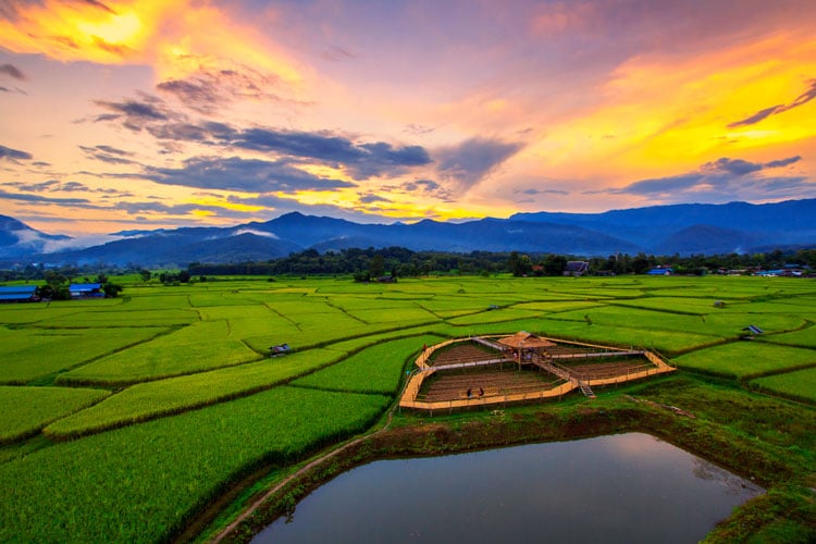 Sunrise over rice fields in Thailand - the best places to visit in April