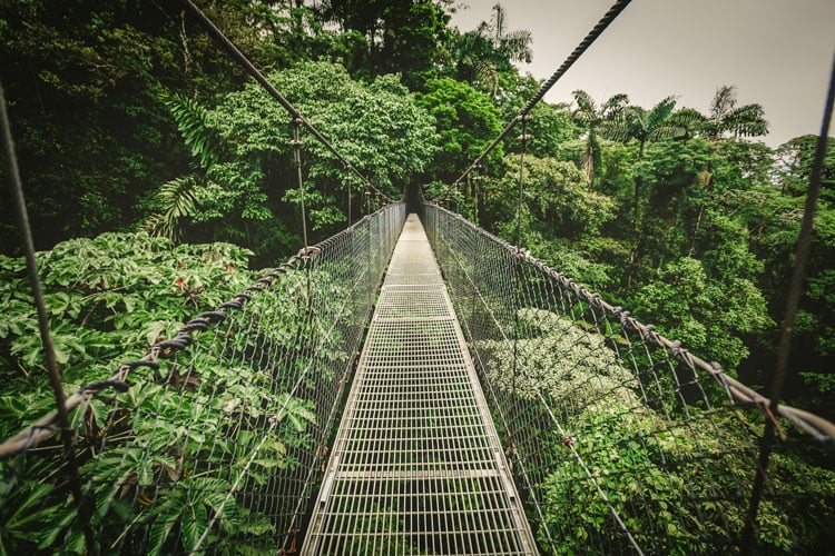 The best places to visit in December - treetop bridge in Costa Rica