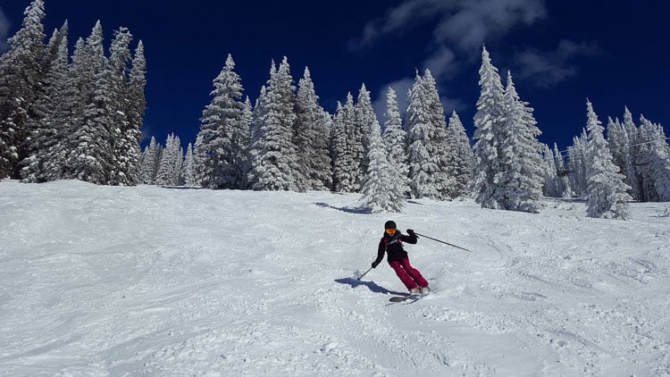 A person skiing in front of snow covered pine trees in Colorado, one of the best places to ski in February