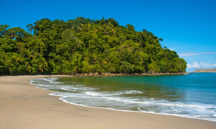 Golden sand beach in Costa Rica with thick forest - one of the best beaches' in January
