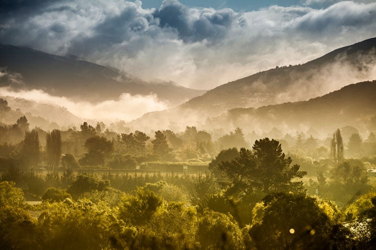 Misty morning over mountains and trees in Monterey - the best places to visit in May