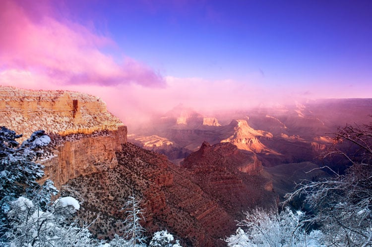 The best places to visit in November - Grand CAnyon view with snowy trees