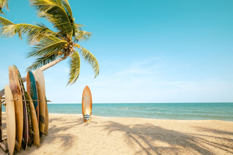 The best places to visit in November - surf board sticking out of the sand next to a palm tree