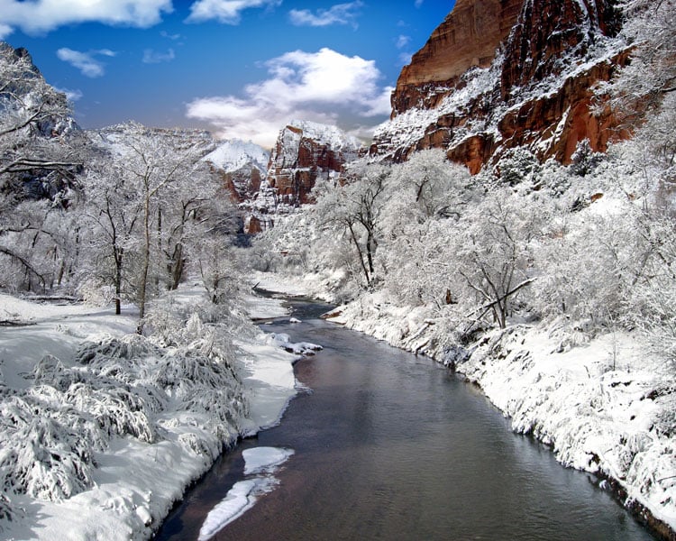 The best places to visit in November- Snow covered trees by a river in Zion National Park