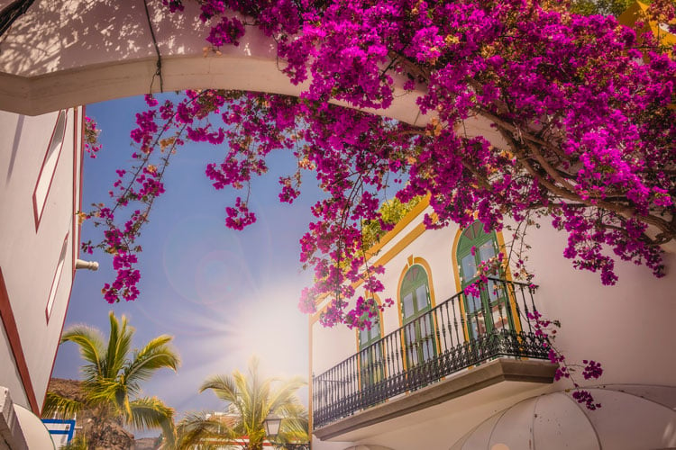 The best places to visit in December- white Spanish style building with flowers in Gran Canaria